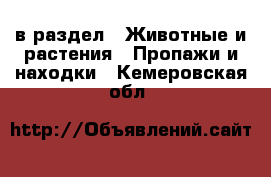  в раздел : Животные и растения » Пропажи и находки . Кемеровская обл.